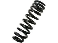 OEM 2002 Toyota Tundra Coil Spring - 48131-AF100