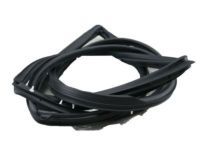 OEM Toyota Weatherstrip - 67872-60041