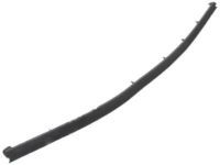 OEM Toyota Sequoia Belt Weatherstrip - 68172-0C030