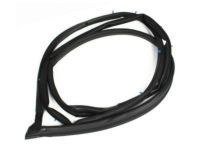 OEM 2003 Toyota Matrix Door Weatherstrip - 67861-01040