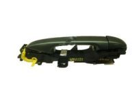 OEM 2014 Toyota Sienna Handle, Outside - 69230-08040-G0