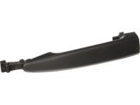 OEM 2007 Toyota Sienna Handle, Outside - 69211-AE010