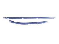 OEM 2004 Toyota Tacoma Belt Weatherstrip - 68171-35120