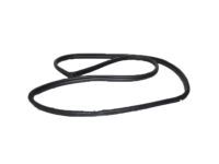 OEM 2018 Toyota RAV4 Surround Weatherstrip - 62332-0R050