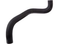 OEM Lexus ES300 Hose, Radiator, Outlet - 16572-20020