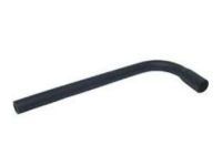 OEM 2001 Toyota Avalon Weatherstrip - 64461-AC020