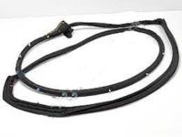 OEM 2017 Toyota Land Cruiser Door Weatherstrip - 67861-60150