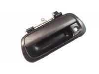 OEM 2000 Toyota Tundra Handle - 69090-0C010