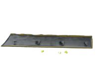 OEM 2004 Toyota Land Cruiser Body Side Molding - 75741-60160-B0