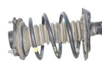 OEM 2018 Toyota Camry Coil Spring - 48131-06G50