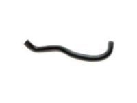 OEM 1996 Toyota Tacoma Lower Hose - 16572-0C021