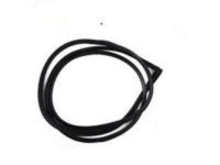 OEM Toyota Door Weatherstrip - 62312-04020