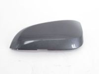 OEM 2017 Toyota RAV4 Mirror Cover - 87945-48040-B2