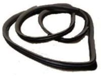 OEM Toyota Corolla Door Weatherstrip - 67862-02130