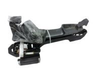 OEM 2014 Scion xD Handle, Outside - 69211-12220-P5