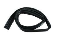 OEM Run Channel - 62755-60010
