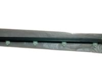 OEM 1996 Toyota Corolla Belt Weatherstrip - 68162-12130