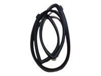 OEM 2022 Toyota Tacoma Door Weatherstrip - 67871-04021