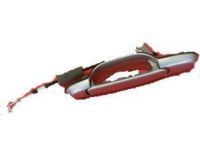 OEM 1998 Toyota Sienna Handle, Outside - 69230-08020-D0