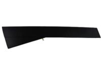 OEM 2005 Toyota Sienna Body Side Molding - 75742-AE030-B1