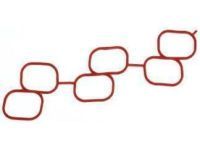 OEM Tank Gasket - 17176-0P010