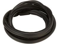 OEM Door Weatherstrip - 62312-04030