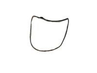 OEM Toyota Tacoma Door Weatherstrip - 67872-04010