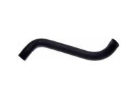 OEM Lexus ES300 Hose, Radiator, NO.2 - 16572-0A010