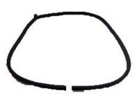 OEM Toyota 4Runner Surround Weatherstrip - 62331-35020-B0