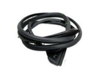 OEM Toyota Tacoma Door Weatherstrip - 67862-04052