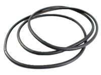 OEM 2021 Toyota Sequoia Weatherstrip - 63251-AE010
