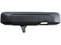 OEM 2010 Toyota Tacoma Handle - 69090-04020