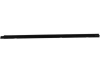 OEM Toyota Belt Weatherstrip - 68210-04020