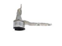 OEM 2005 Lexus LX470 Hinge Assy, Tail Gate, RH - 66110-60020