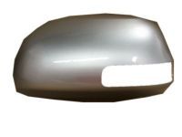 OEM 2010 Toyota RAV4 Mirror Cover - 87945-42060-B0