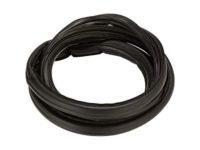 OEM Toyota Tacoma Drip Weatherstrip - 62382-04030