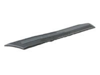 OEM 1999 Toyota Land Cruiser Body Side Molding - 75652-60170-H2