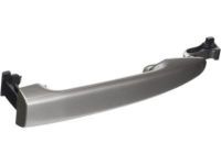 OEM 2005 Toyota Sienna Handle, Outside - 69213-08010-B0