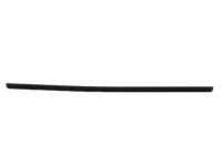 OEM 1988 Toyota Land Cruiser Belt Weatherstrip - 68170-90A01