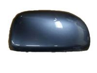 OEM 2006 Toyota RAV4 Cover - 87915-42031-G1