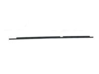 OEM Toyota RAV4 Belt Weatherstrip - 75740-42010