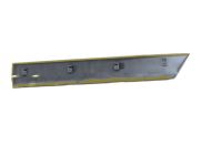 OEM 1999 Toyota Land Cruiser Body Side Molding - 75741-60160-H2