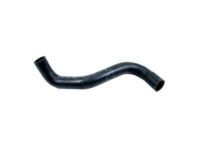 OEM Toyota Sienna Lower Hose - 16572-AA020