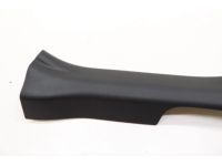 Toyota 67917-42110-C0