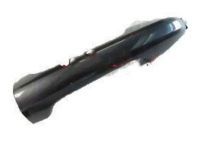 OEM 2021 Toyota Tacoma Handle, Outside - 69211-0E010-D1