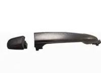 OEM 2011 Toyota Tacoma Handle, Outside - 69211-AE020-B8