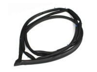 OEM 2000 Toyota Echo Door Weatherstrip - 67862-52010