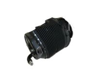 OEM 2015 Toyota Sequoia Air Cylinder - 48080-34020