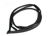 OEM 2002 Toyota RAV4 Door Weatherstrip - 67862-42041