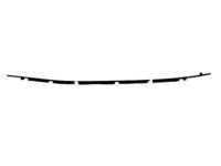 OEM 1999 Toyota RAV4 Belt Weatherstrip - 75710-42010